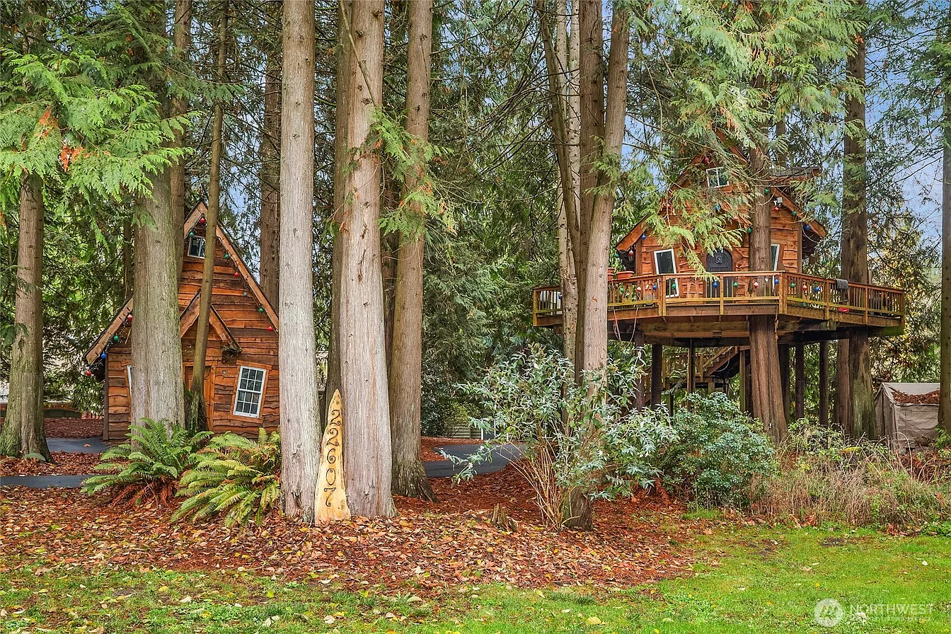 Treehouse and cottage