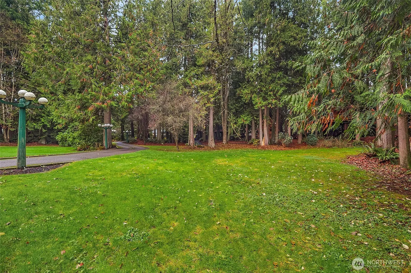 Front yard and lawn